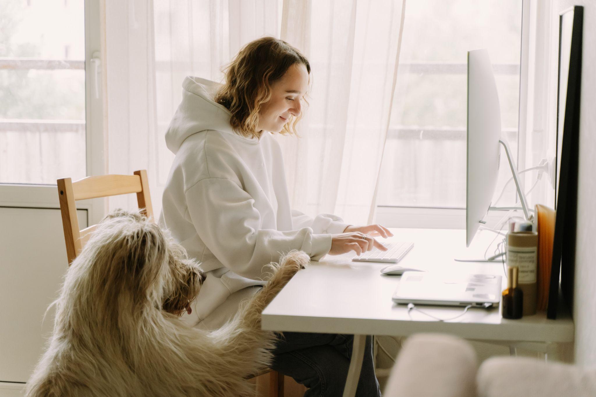 DogAtDesk